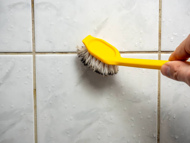 Best Post-Flood Mold Remediation in Hamilton, GA