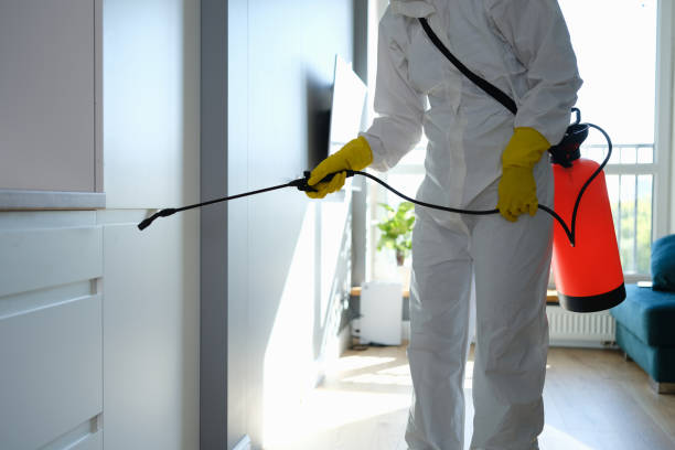 Hamilton, GA Mold Remediation Company